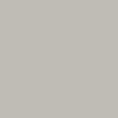 Viršus: Light Grey