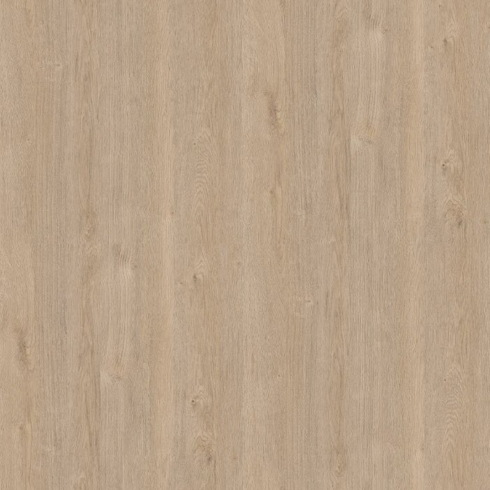 Sand Expressive Oak — tekstūra